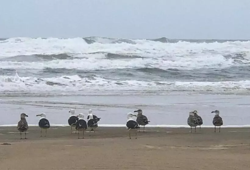 پانسیون Recanto Das Pedras   Casa Pedra Portuguesa   Com Vista Para O Mar