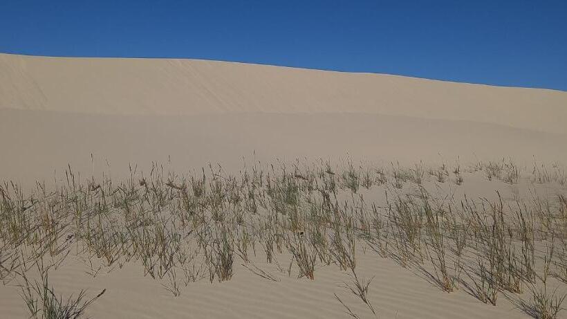 ペンション Recanto Das Pedras   Casa Pedra Portuguesa   Com Vista Para O Mar