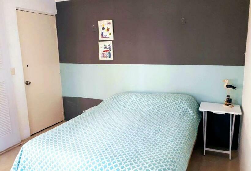 Pansiyon Room In Guest Room  Loft 9 In The Center Of Cancun