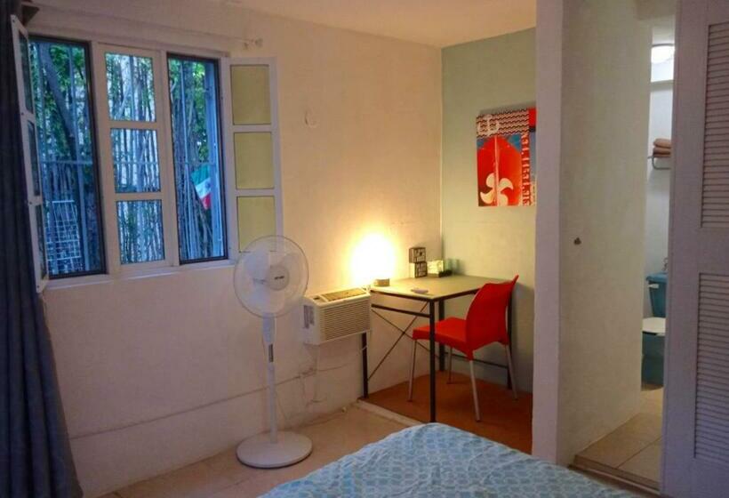 Pansiyon Room In Guest Room  Loft 9 In The Center Of Cancun