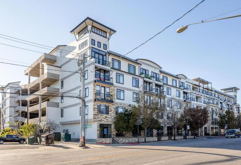 فندق Locale South Congress  Austin