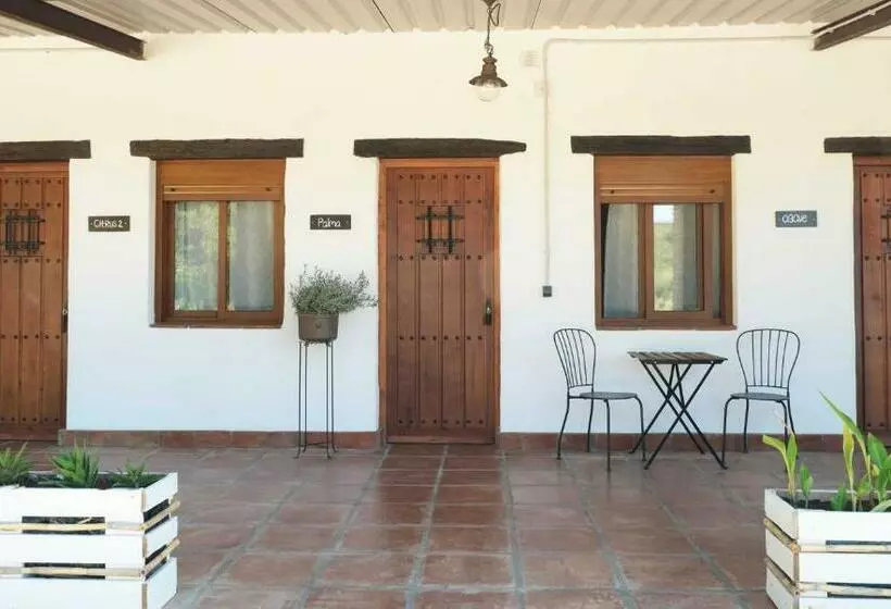 Hotelli The Wild Olive Andalucía Agave Guestroom