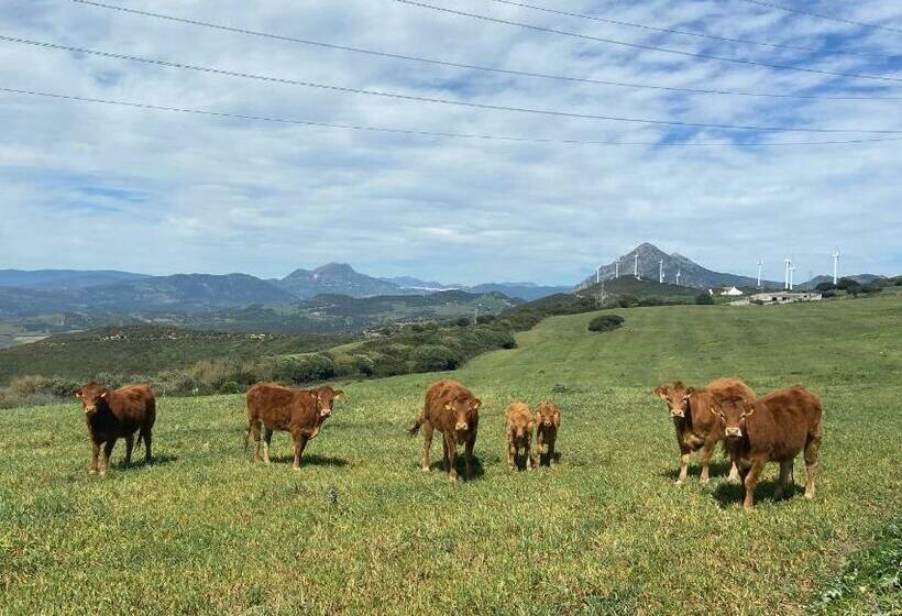 Отель The Wild Olive Andalucía Agave Guestroom