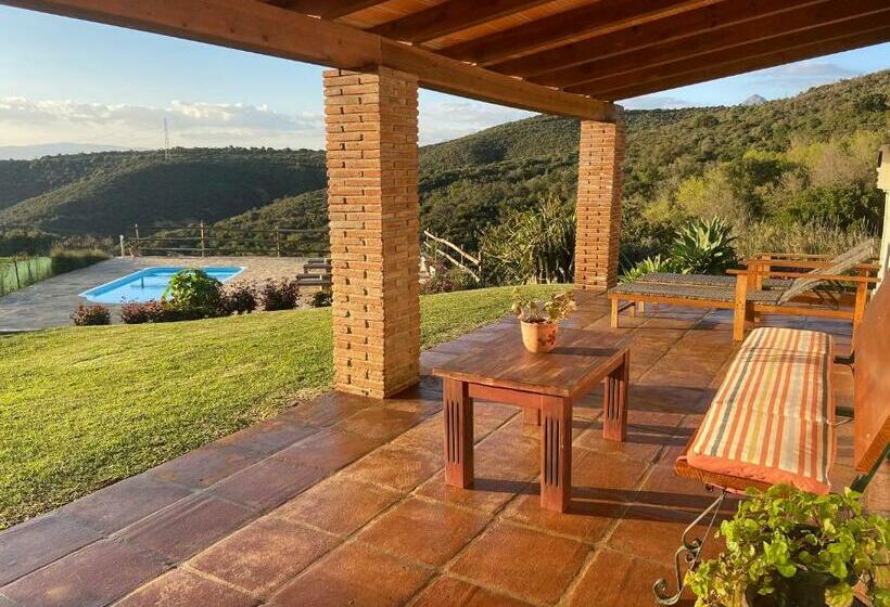 Отель The Wild Olive Andalucía Agave Guestroom