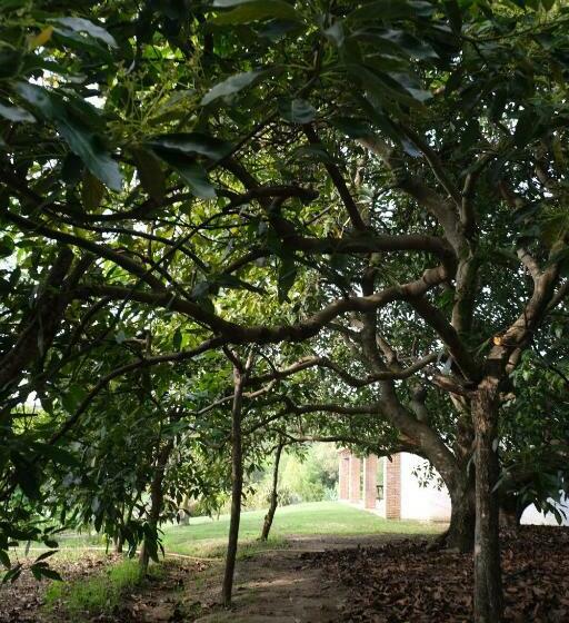 Отель The Wild Olive Andalucía Agave Guestroom