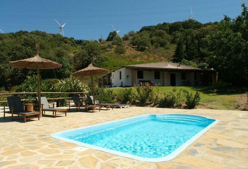 Отель The Wild Olive Andalucía Agave Guestroom