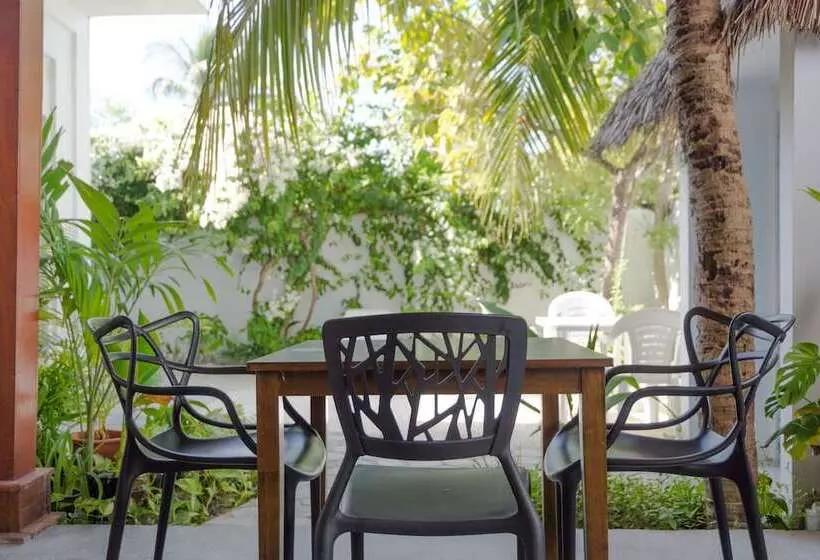 پانسیون Palm Gate Maldives