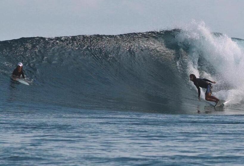 پانسیون Palm Gate Maldives