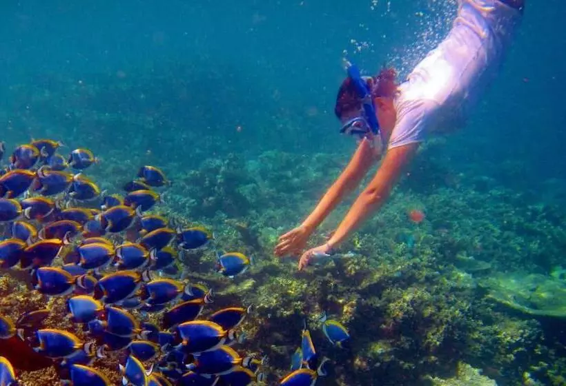 پانسیون Palm Gate Maldives