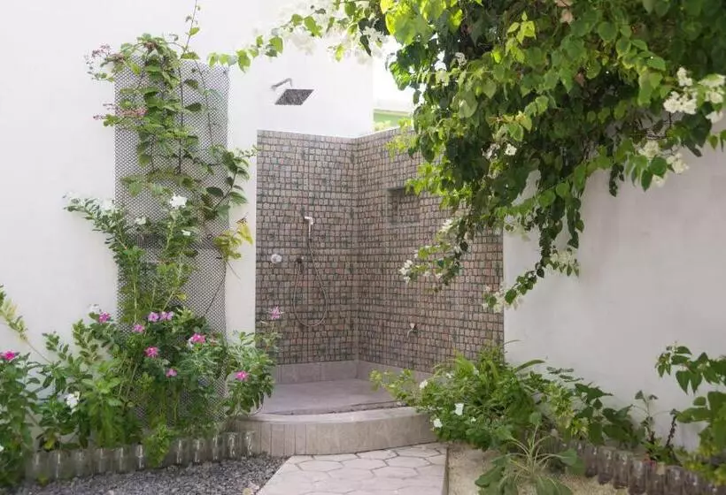 پانسیون Palm Gate Maldives