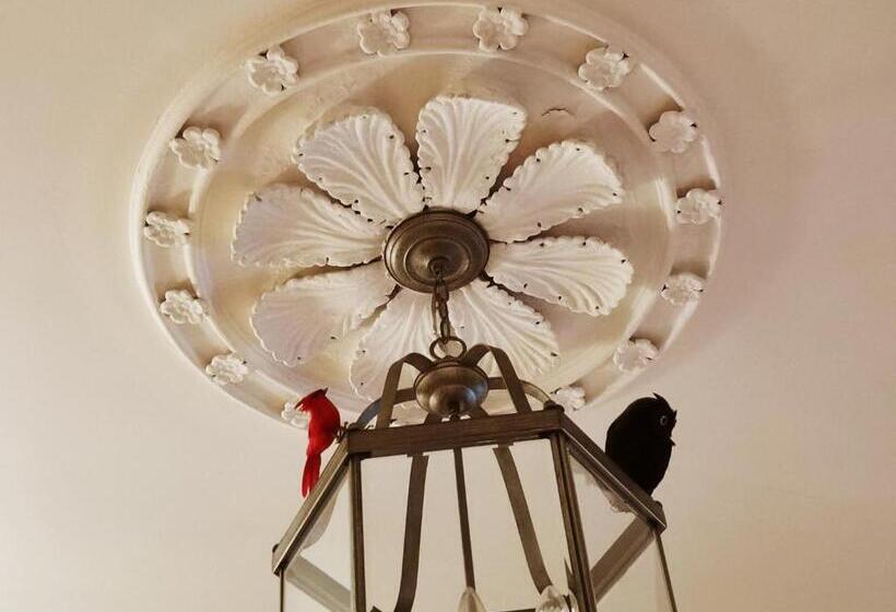 تختخواب و صبحانه No 1 Grafton Inn