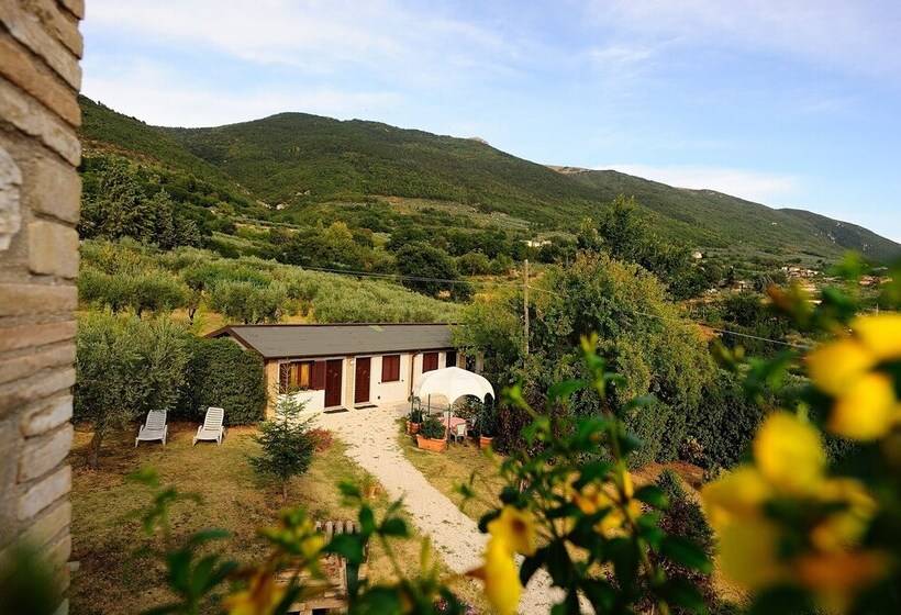 Agriturismo Colle Degli Olivi