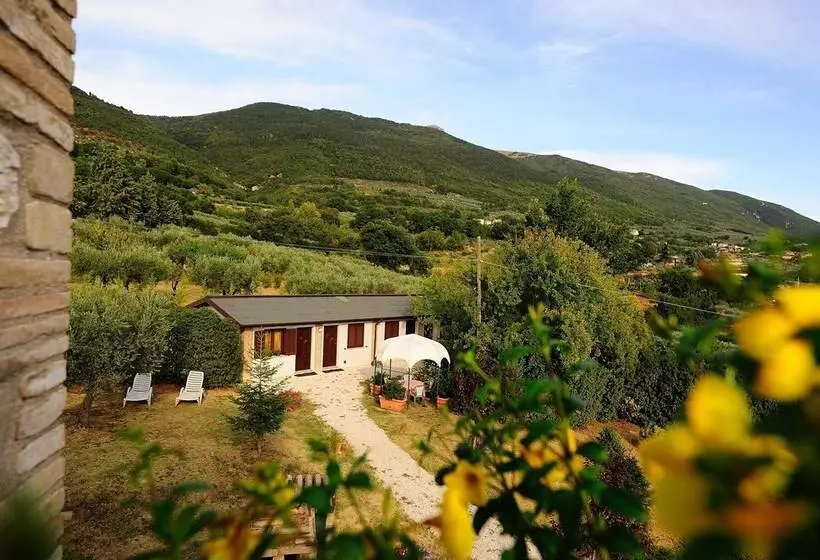 Agriturismo Colle Degli Olivi