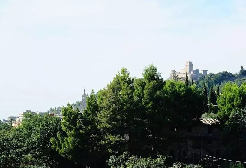 Agriturismo Colle Degli Olivi