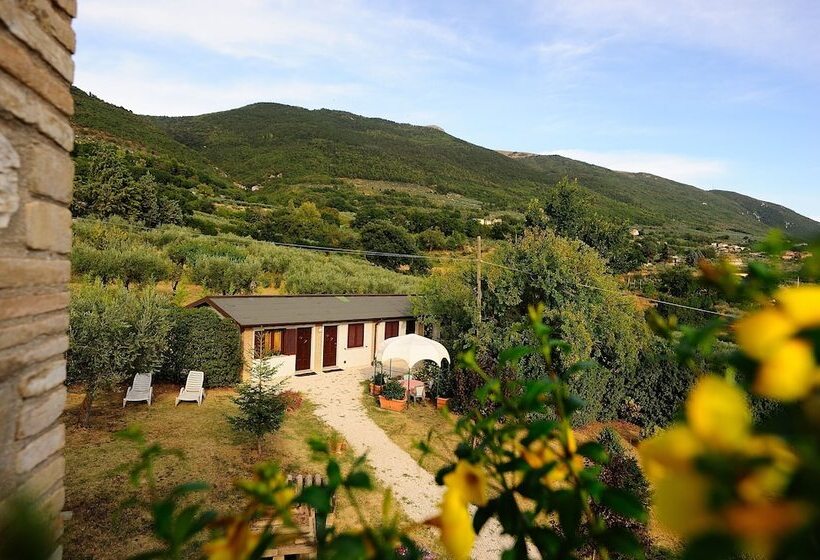 Agriturismo Colle Degli Olivi