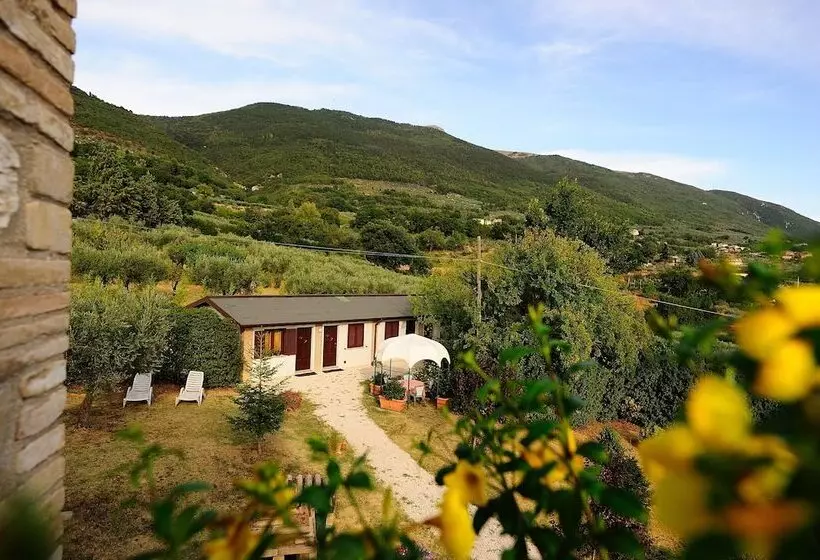 Agriturismo Colle Degli Olivi