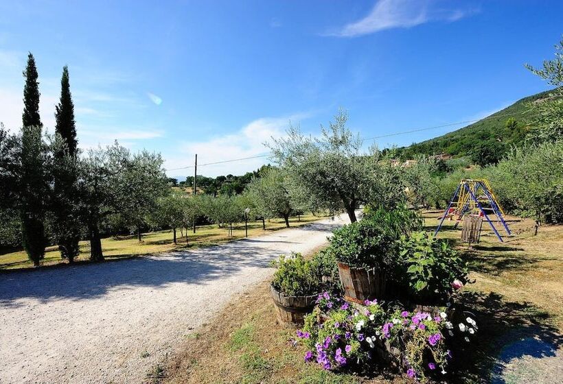 Agriturismo Colle Degli Olivi