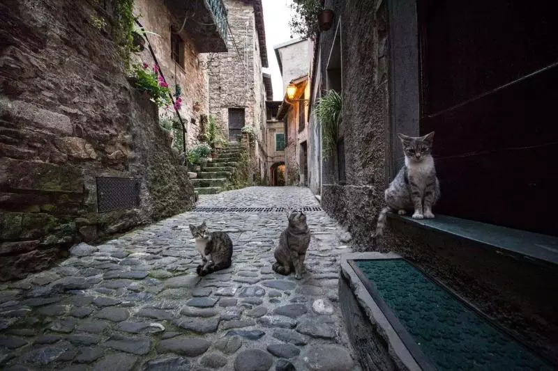 Отель Munta E Cara Albergo Diffuso