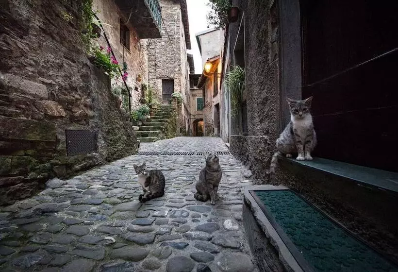 Отель Munta E Cara Albergo Diffuso