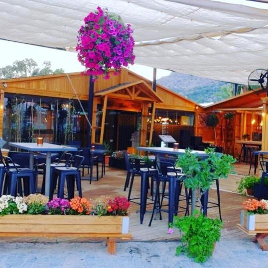 ホテル Alya Turkbuku Beach