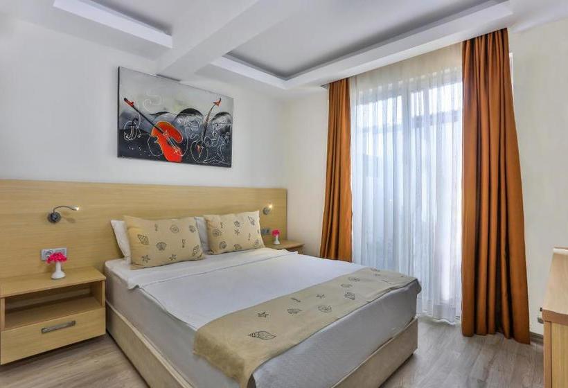 ホテル Alya Turkbuku Beach