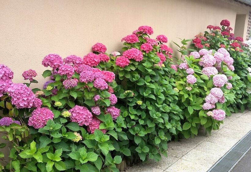 ホテル Auberge Du Cheval Blanc