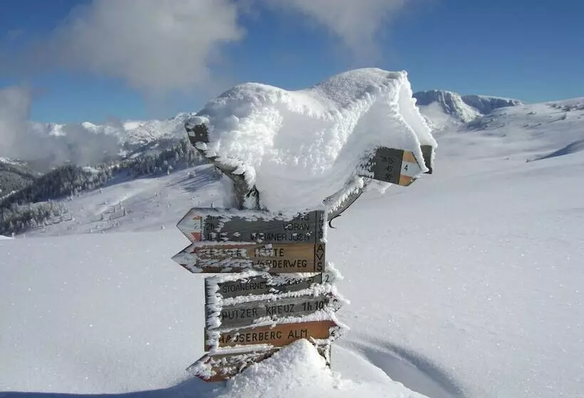 Отель Bad Schorgau