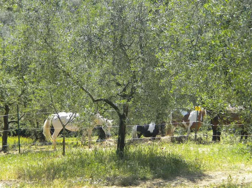 Отель Bello Stare Charming Retreats