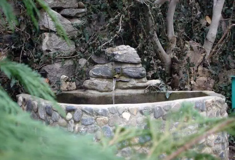 فندق Centaur Family