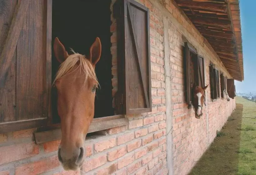 酒店 Hosteria Caballo Campana