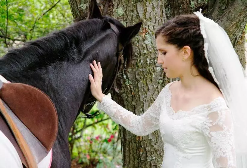 酒店 Hosteria Caballo Campana