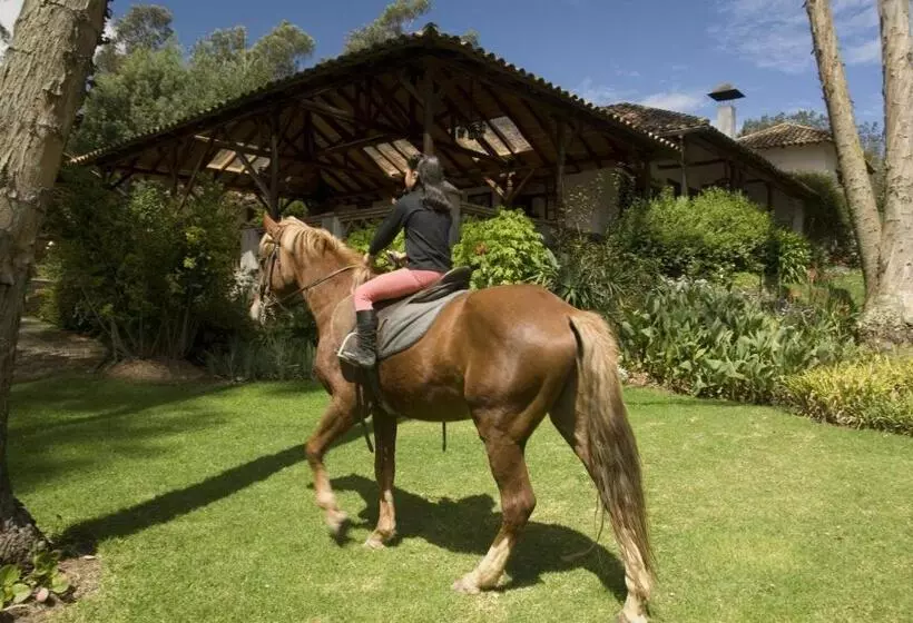 酒店 Hosteria Caballo Campana