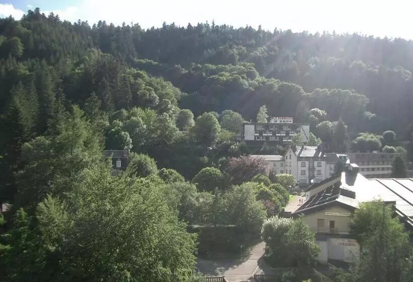 هتل Hôtel De Londres