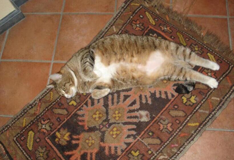 ホテル La Campana D Oro