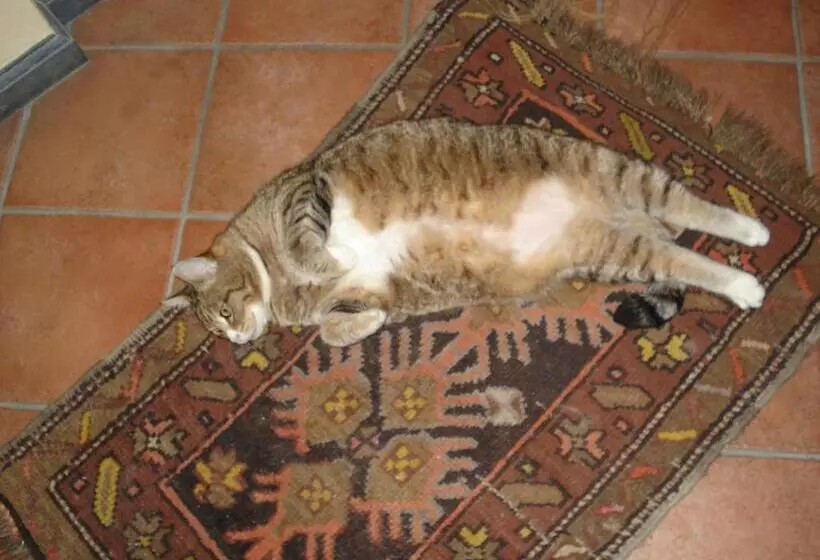 ホテル La Campana D Oro