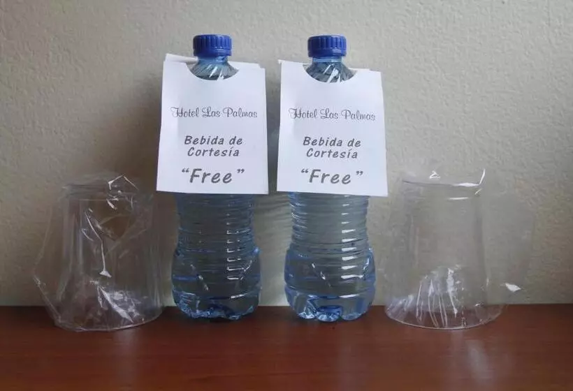 Отель Las Palmas