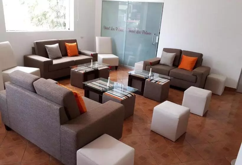 Отель Las Palmas