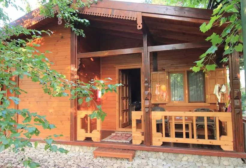 هتل Olympos Mitos