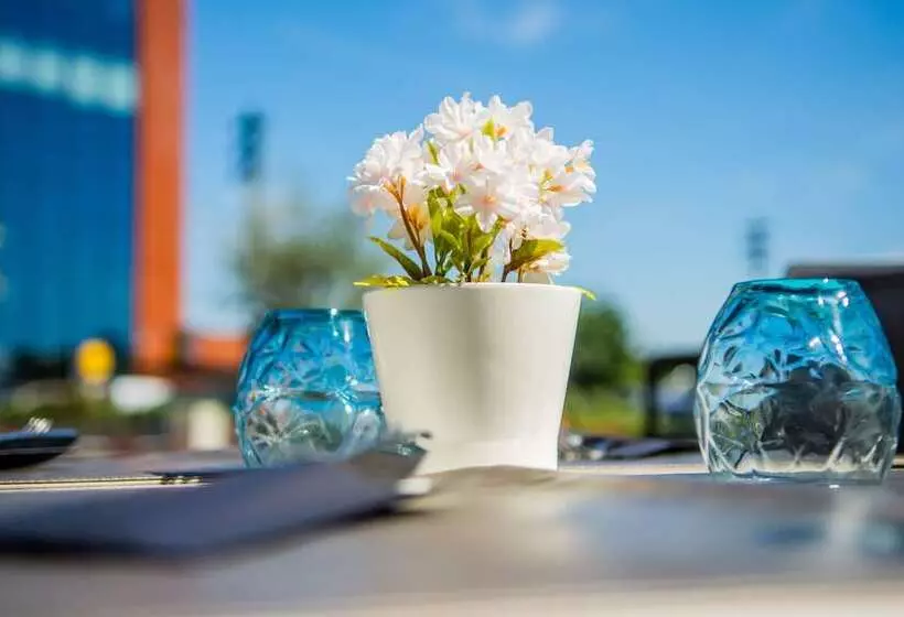 בית מלון כפרי Stayen