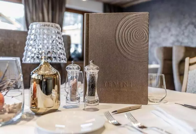 Отель Tevini Dolomites Charming