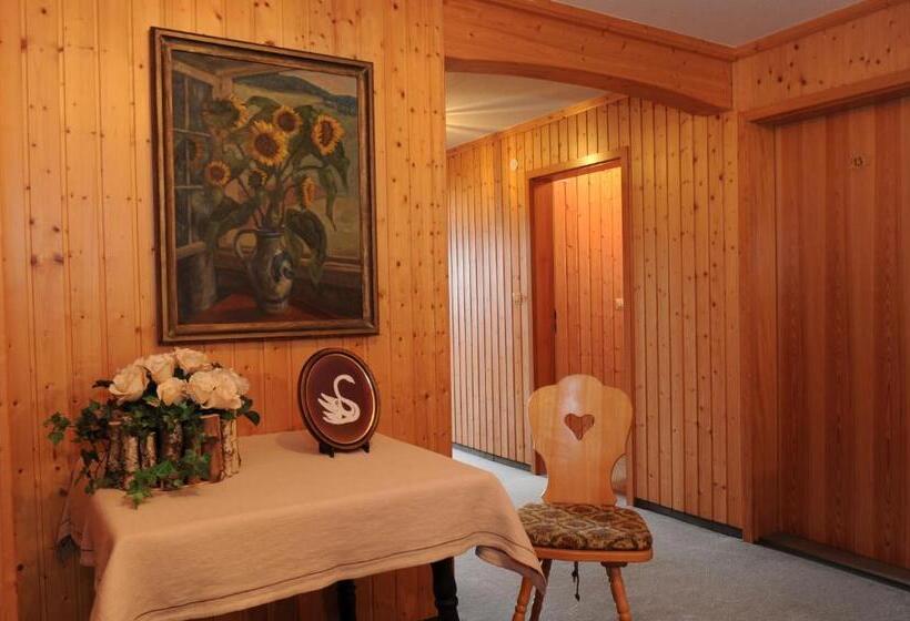 Natur & Wellnesshotel Breggers Schwanen   Bernau Im Schwarzwald