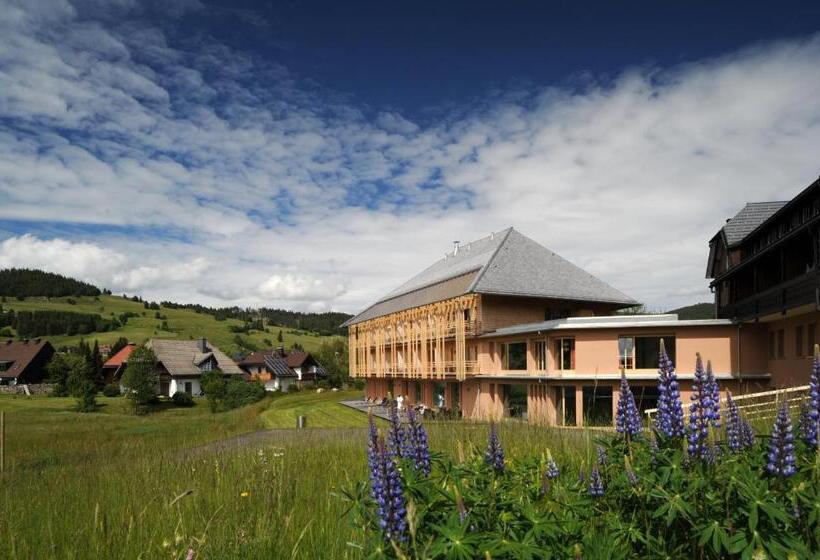 Natur & Wellnesshotel Breggers Schwanen   Bernau Im Schwarzwald