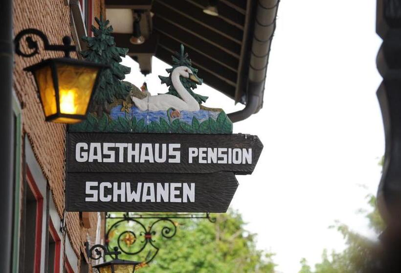 Natur & Wellnesshotel Breggers Schwanen   Bernau Im Schwarzwald