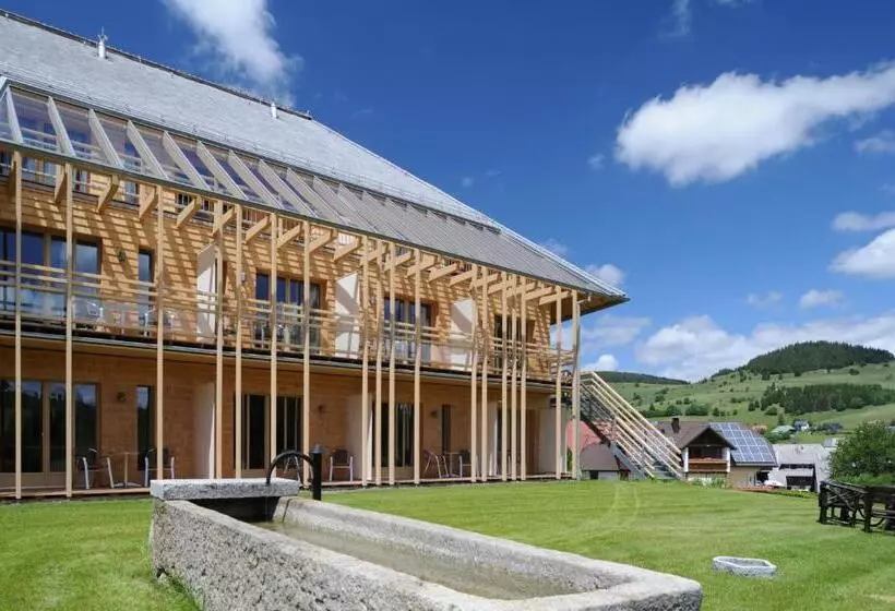 Natur & Wellnesshotel Breggers Schwanen   Bernau Im Schwarzwald