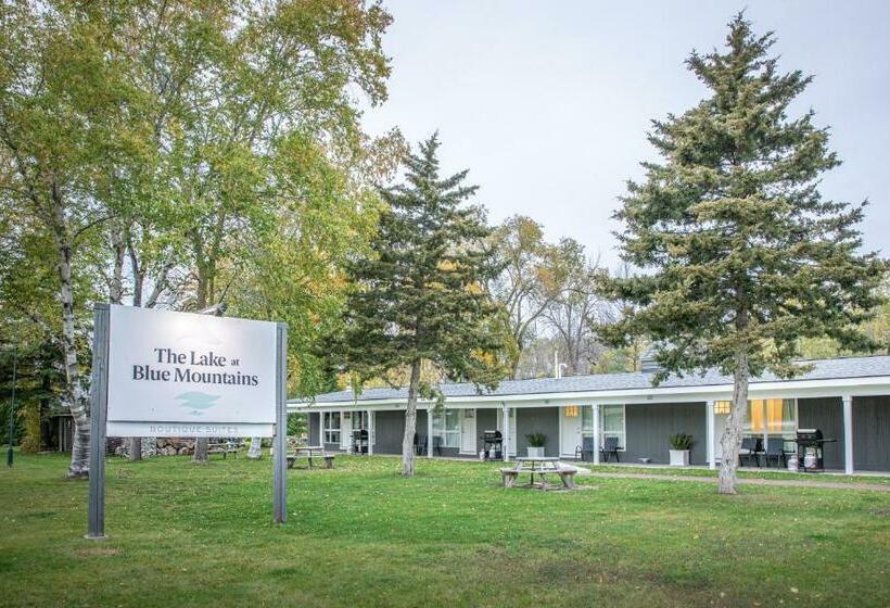 فندق على الطريق Boutique Suite #6