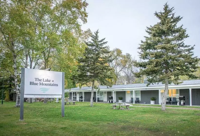 Motelli Boutique Suite #6