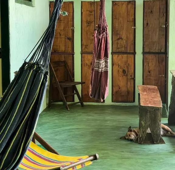 Hostel Moreré