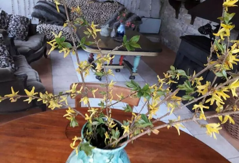 Aamiaismajoitus (B&B) Dependance Du Moulin Galuzot