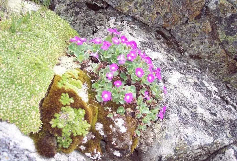 ベッドアンドブレックファースト Les Clarines Perceneige   Chambre D Hôtes Vue Sur Montagne