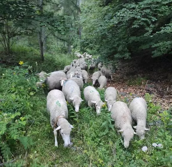 ベッドアンドブレックファースト Les Clarines Perceneige   Chambre D Hôtes Vue Sur Montagne